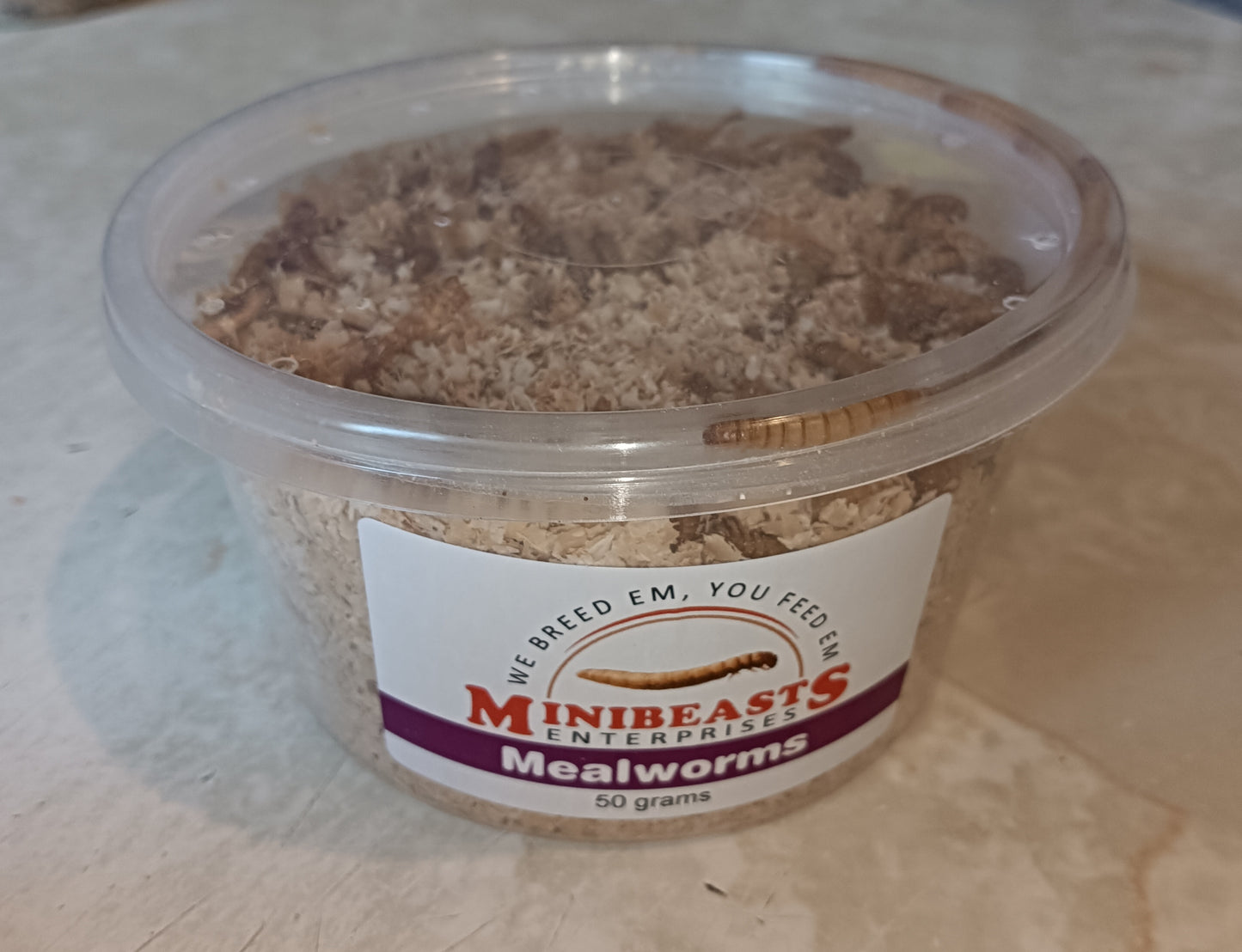 Minibeasts Mealworms 50g