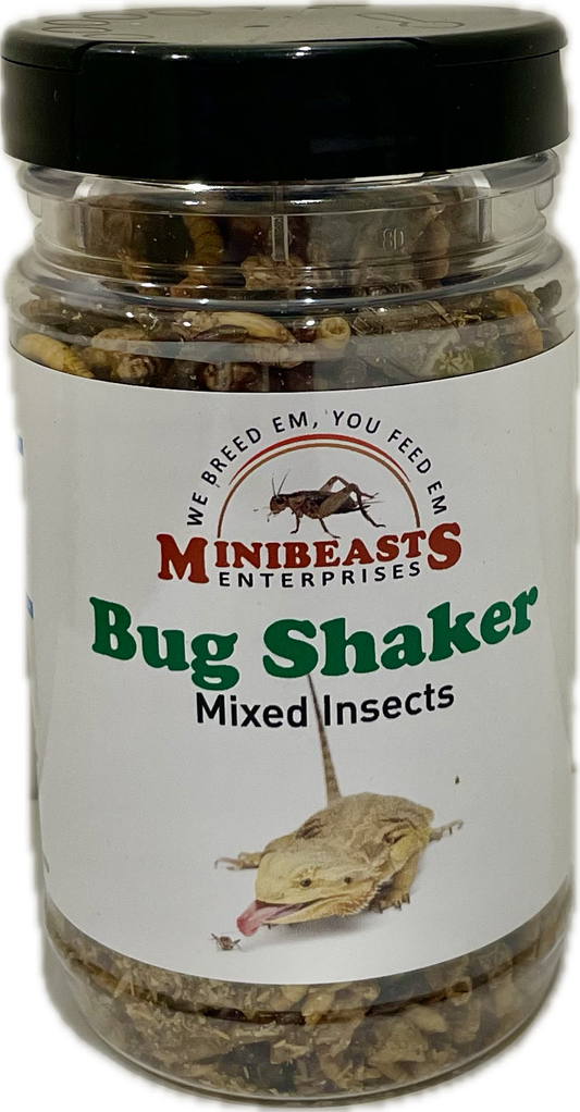 Minibeasts Bug Shaker Mixed Insects