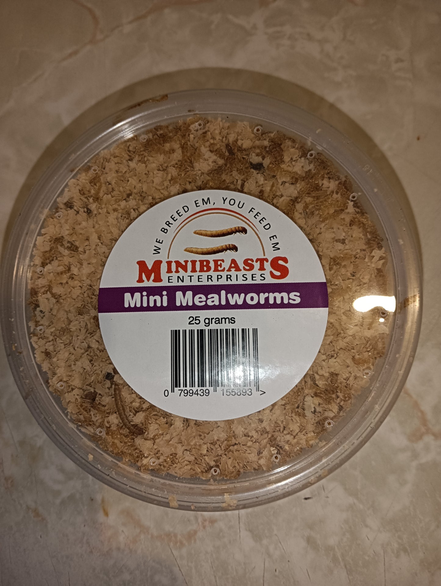 Minibeasts Mini Mealworms 25g