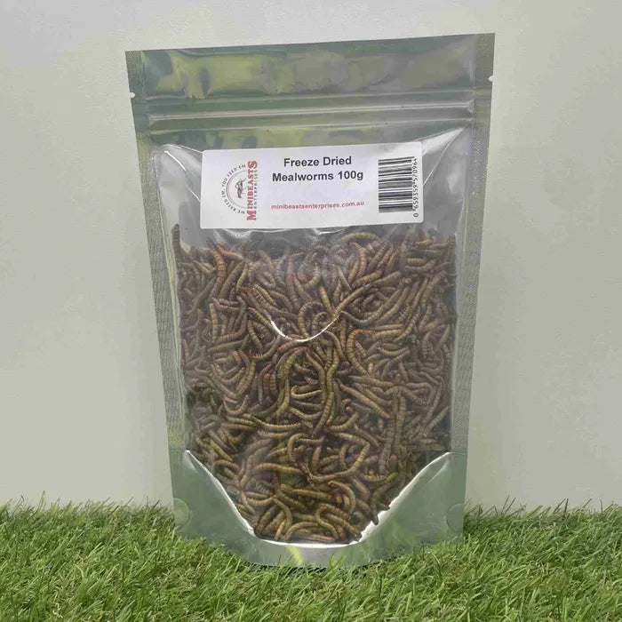 Minibeasts - Freeze-Dried Mealworms 100g