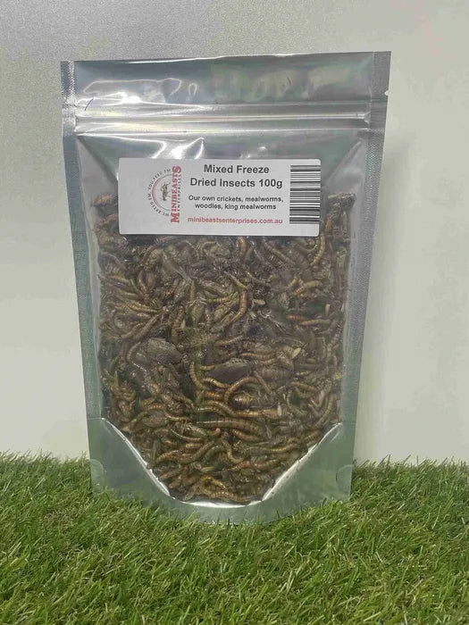 Minibeasts - Mixed-Freeze Dried Insects 100g