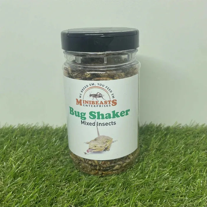 Minibeasts - Bug Shaker - Mixed Insects