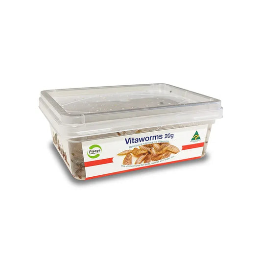 Pisces Live Vitaworms BSFL 20g